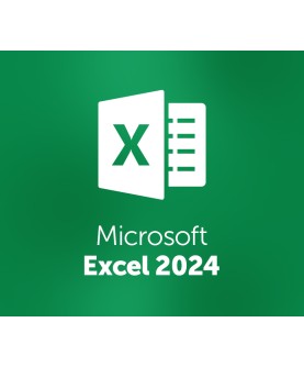 MS Excel 2024 Retail Key GLOBAL
